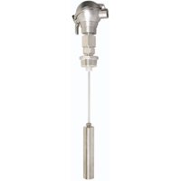 Intempco Continous Capacitance Level Transmitter, LTX40